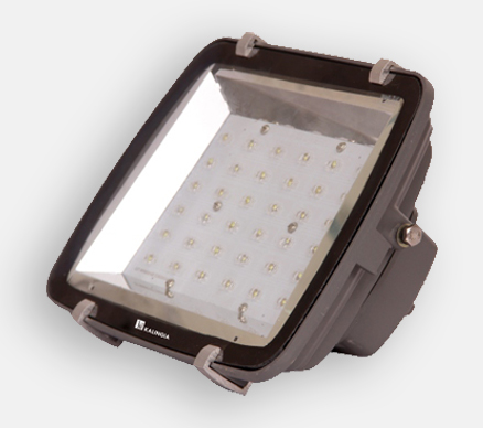 LED Flood Light